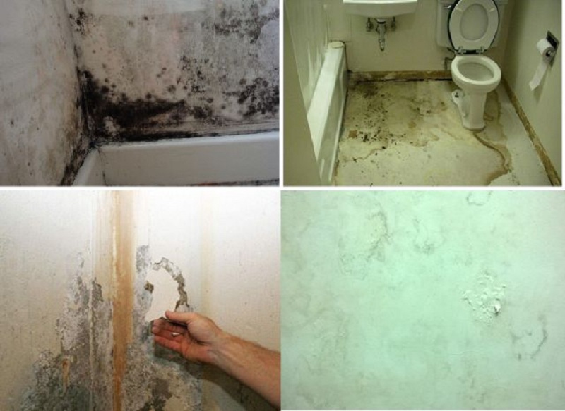 Tác hại của việc nhà vệ sinh bị thấm nướcTác hại của việc nhà vệ sinh bị thấm nướcTác hại của việc nhà vệ sinh bị thấm nước