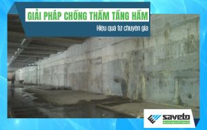 Giải Pháp Chống Thấm Tầng Hầm Hiệu Quả Từ Chuyên Gia