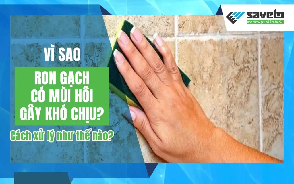 Vì sao ron gạch có mùi hôi gây khó chịu? Cách xử lý như thế nào?