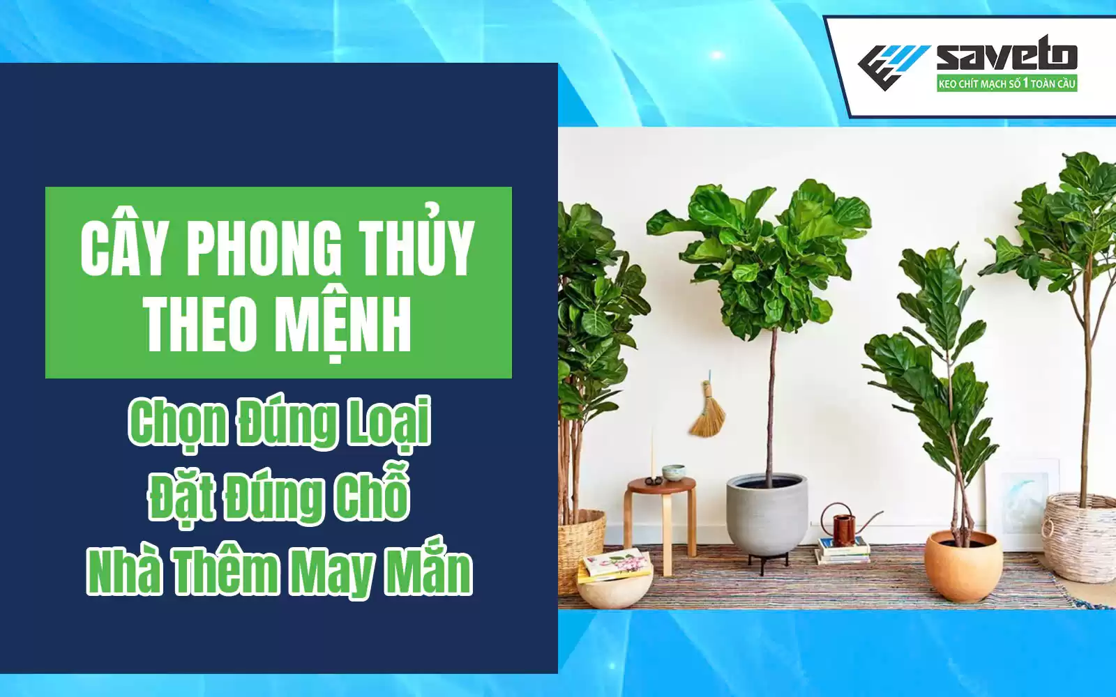 Cây phong thủy theo mệnh