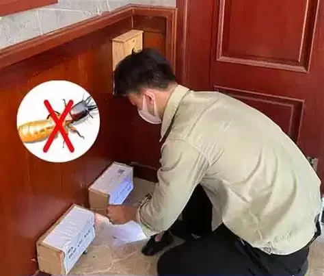 Cách diệt mối dưới nền nhà