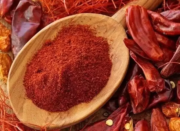 Cách diệt mối dưới nền nhà
