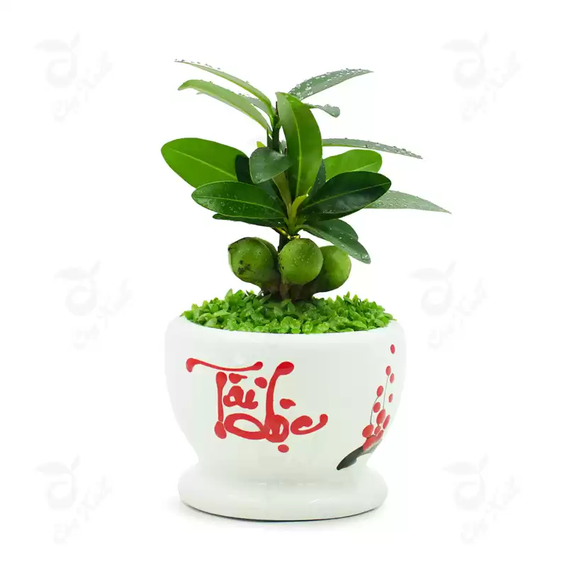 vật phẩm phong thủy
