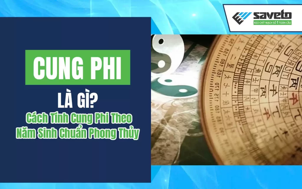 Cung phi là gì?