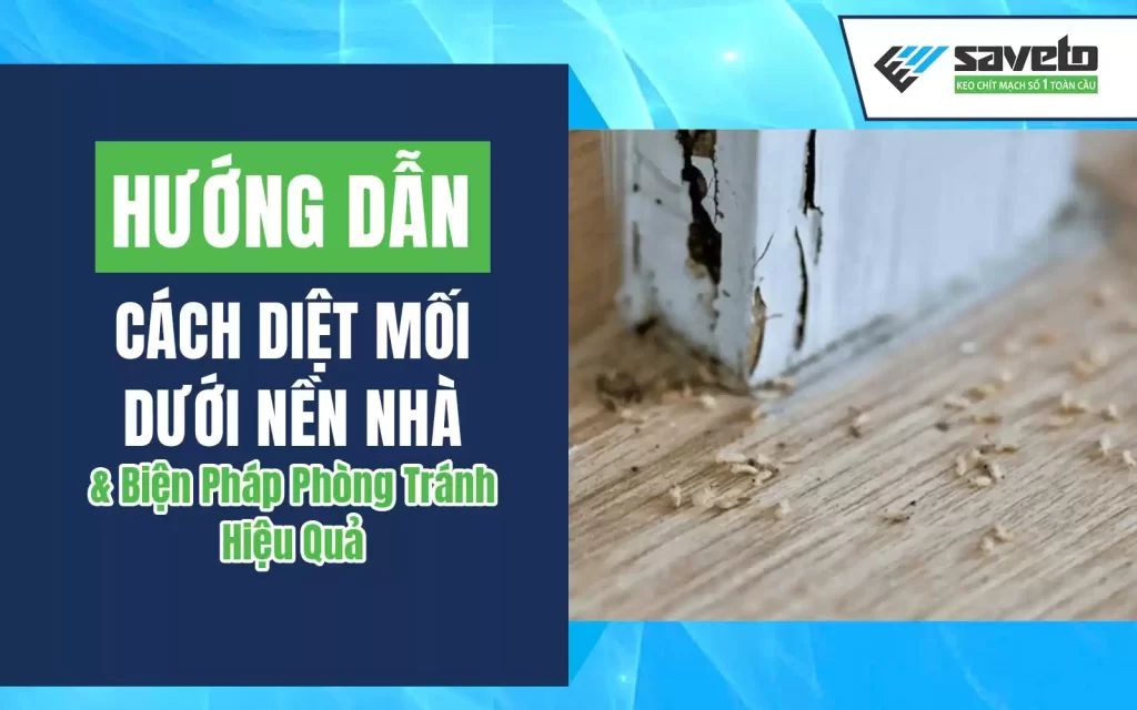 Hướng Dẫn Cách Diệt Mối Dưới Nền Nhà & Biện Pháp Phòng Tránh Hiệu Quả
