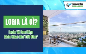 Logia là gì