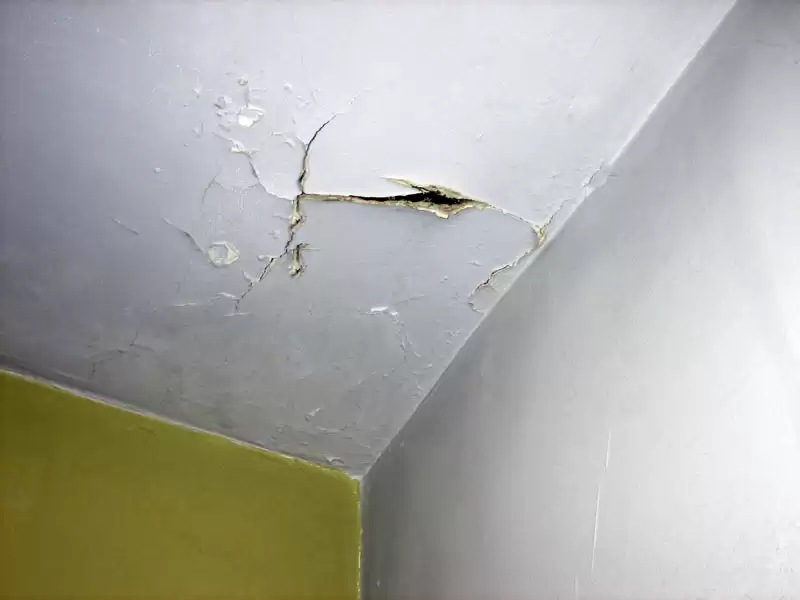 Cách xử lý triệt để và hiệu quả
