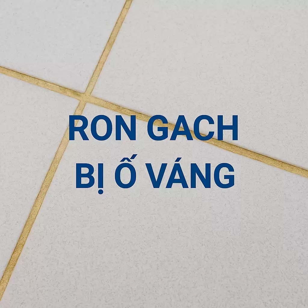 Ron gạch bị ố vàng