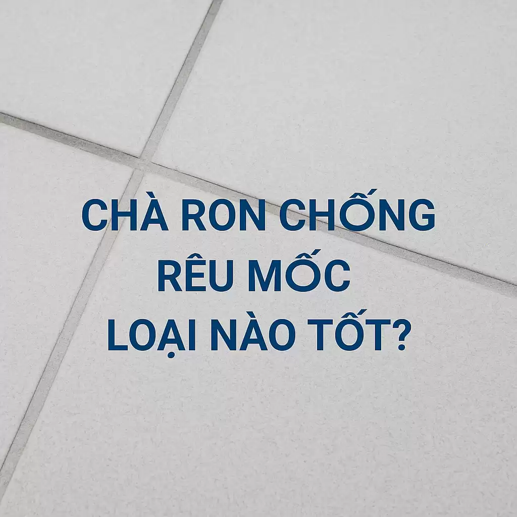 Chà ron chống rêu mốc loại nào tốt?