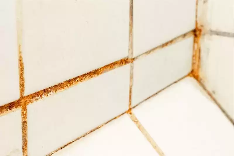 Tác hại của ron gạch bị ố vàng