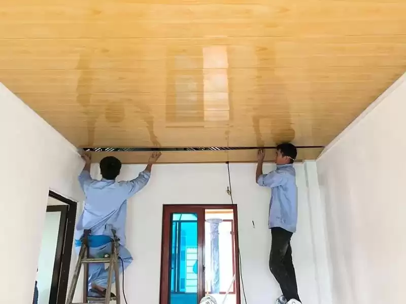 Tổng hợp các mẫu La phông 3D đẹp