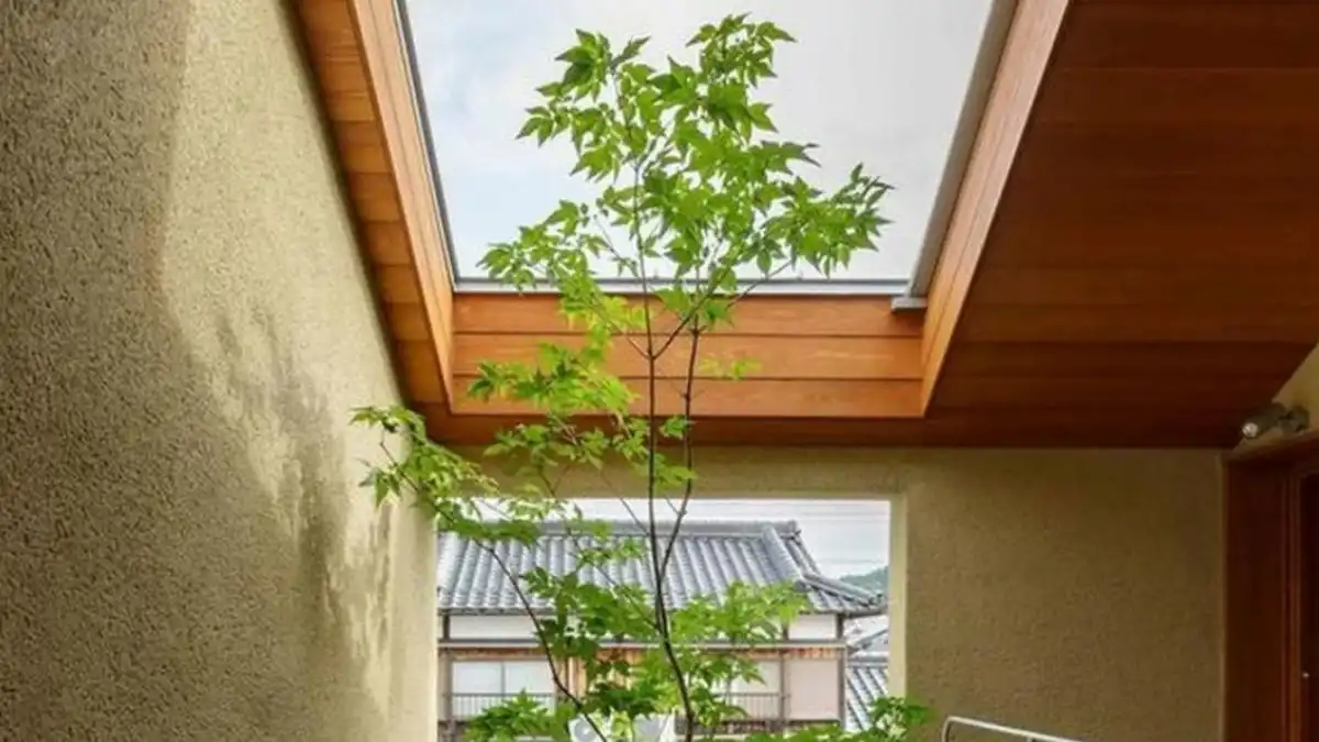 Gạch ốp giếng trời mang lại cảm giác tự nhiên và thư giãn, đồng thời không lo bị mối mọt.