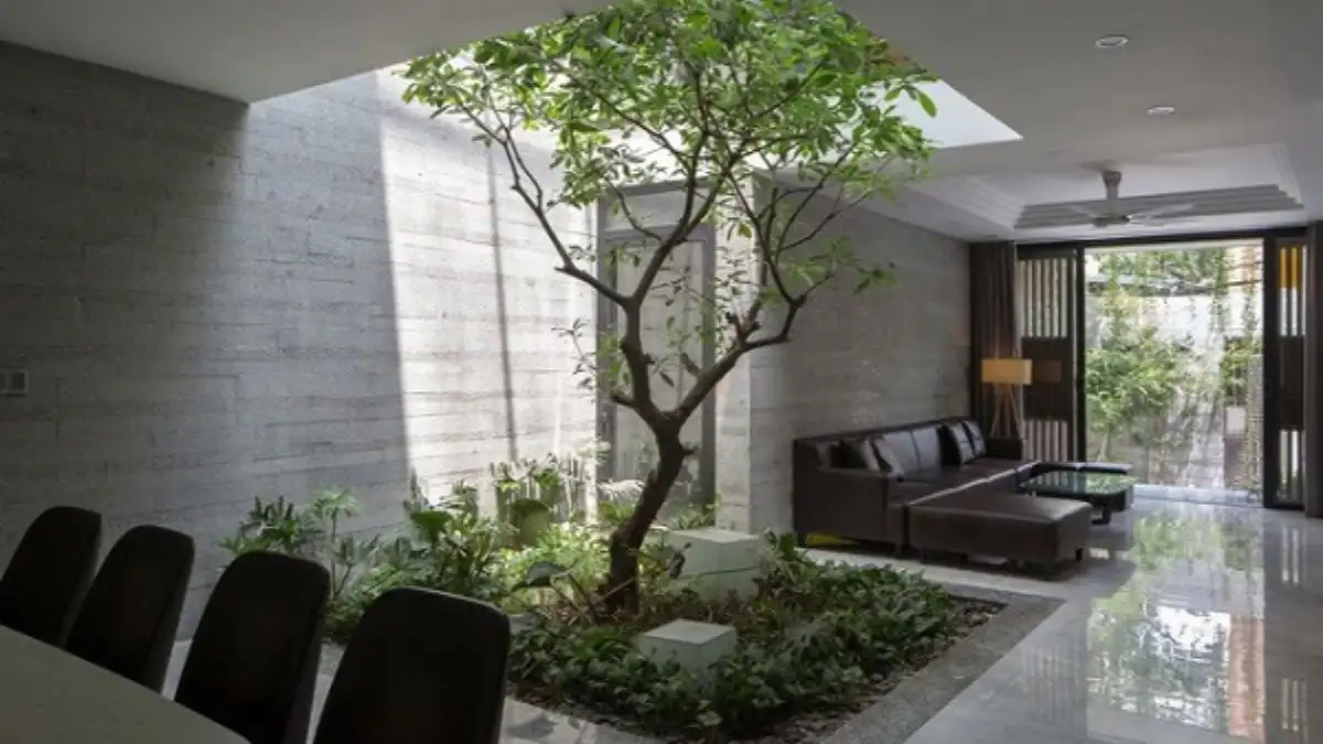 Kỹ Thuật Thiết Kế Đúng Phong Thủy Giếng Trời